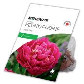 Pivoine Hardy Pink McKenzie, 2 rhizomes, fuchsia