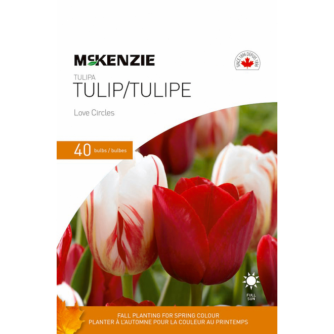 Bulbes de tulipes Love Circles de McKenzie, 11-12 cm, paquet de 40 141323