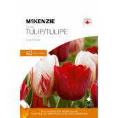 McKenzie Love Circles Tulip Bulbs - 11-12 cm - Pack of 40