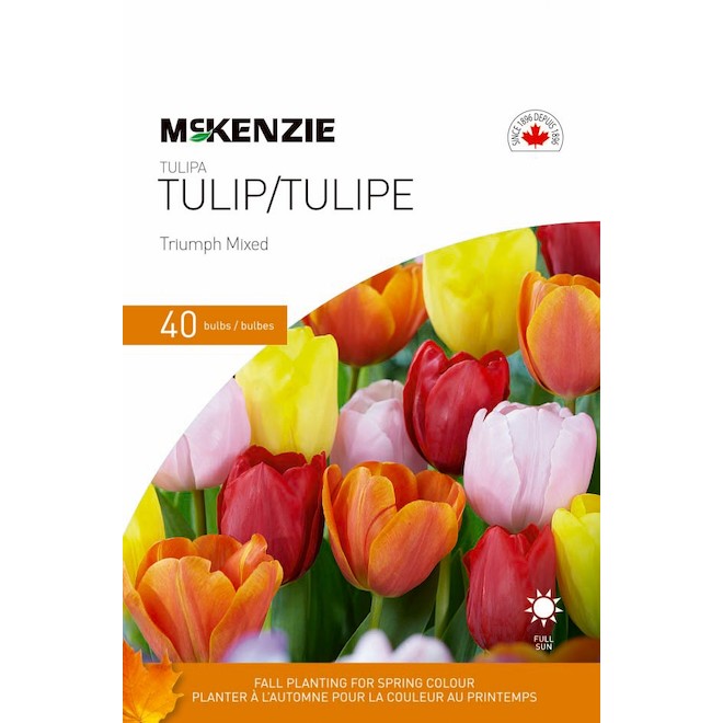 300x Pack de bulbes de fleurs 'Tulipes et autres