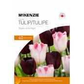 MCKENZIE Rhythm of the Night Tulip Bulbs 18-in - Pack of 40
