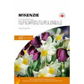 McKenzie 40-Pack Tulip and Daffodil Bulbs - Ying Yang Mix