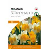 McKenzie 40-Pack Narcissus Bulbs - Mother and Daughter Mix