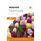 Bulbes de tulipes, mélange Sweet Tutti Frutti, 11-12 cm/12-14 cm, paquet de 40
