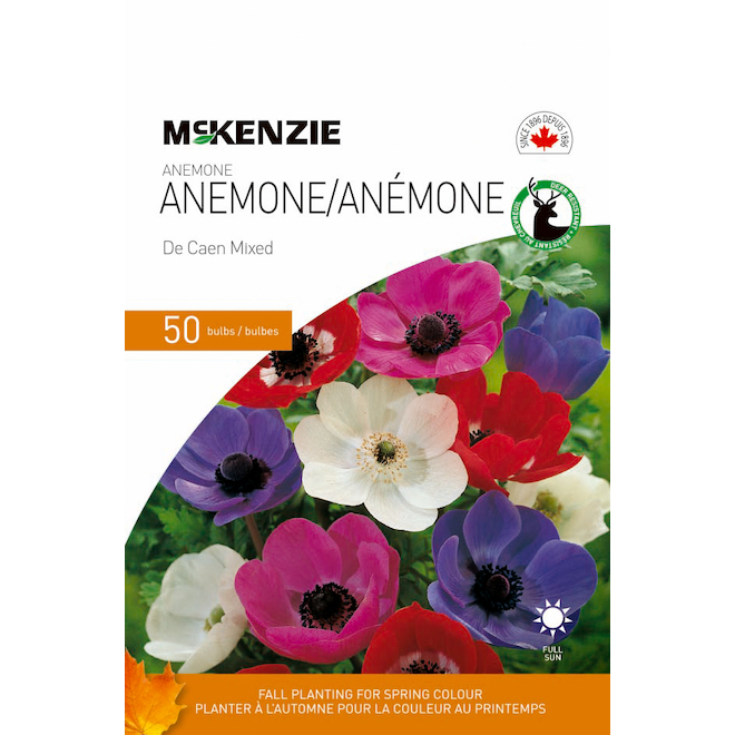 McKenzie Anemone de Caen Bulb Mix - 4-5 cm - Pack of 50 141331 | RONA