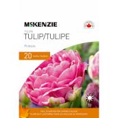 McKenzie 20 Bulbs Pinksize Tulips