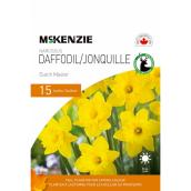 MCKENZIE Narcissus Bulbs Daffodil Trumpet Dutch Master 12-14 cm - Pack-15