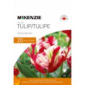 MCKENZIE Tulip Bulbs Estella Rijnveld - Pack of 20