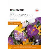 MCKENZIE Crocus Bulbs Giant Mixed 4-in - Pack-30