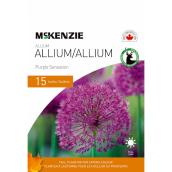MCKENZIE Allium Bulbs Purple Sensation 30-in - Pack-15
