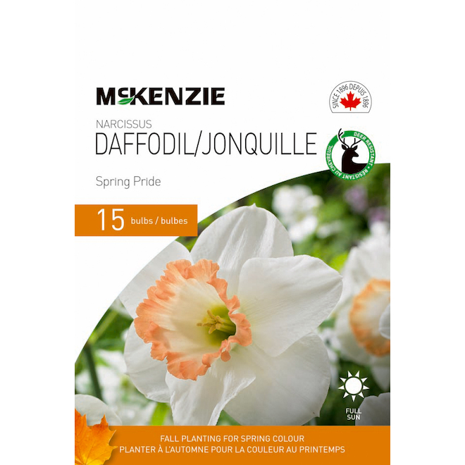 Bulbes de jonquilles Spring Pride de MCKENZIE 12-14 cm, paquet de 15 141366  | RONA