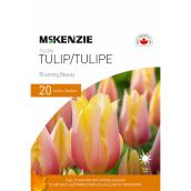 MCKENZIE Tulip Bulbs Blushing Beauty Blush Pink and Yellow - Pack of 20