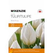 MCKENZIE Tulip Bulbs White Prince Pack of 20