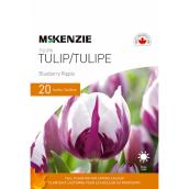 MCKENZIE Tulip Bulbs Blueberry Riple - Pack of 20