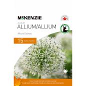 MCKENZIE Allium Bulbs Mount Everest 44-in White - Pack-15