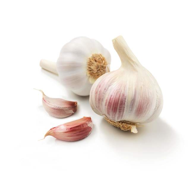 Bulbes d'ail Music de McKenzie, paquet de bulbes 141313 RONA