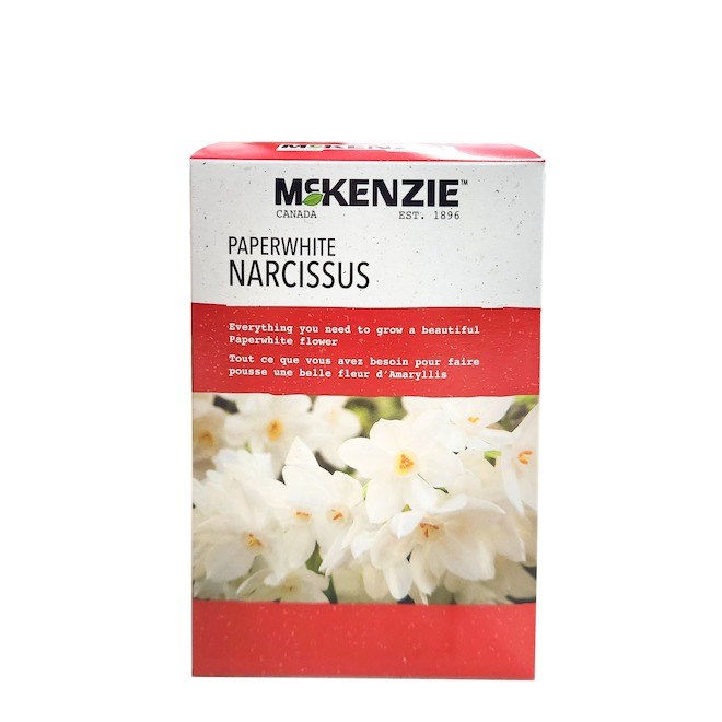 McKenzie Assorted Fall Bulbs Kits - Red and White