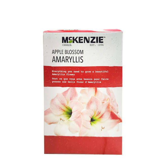 McKenzie Assorted Fall Bulbs Kits - Red and White