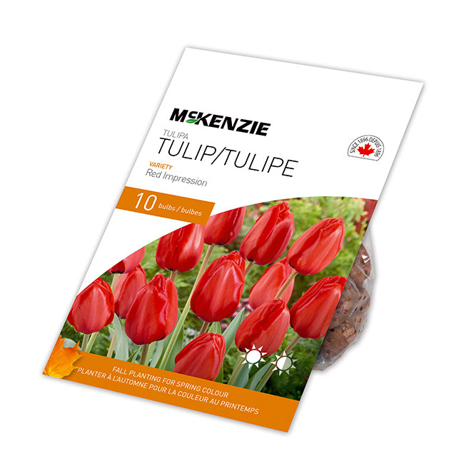 MCKENZIE Tulip Bulbs Red Impression 20in Pack of 10 141898 RONA