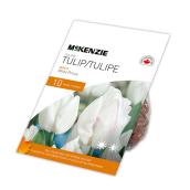Bulbes de tulipe Blanc Prince de MCKENZIE 18 po, paquet de 10