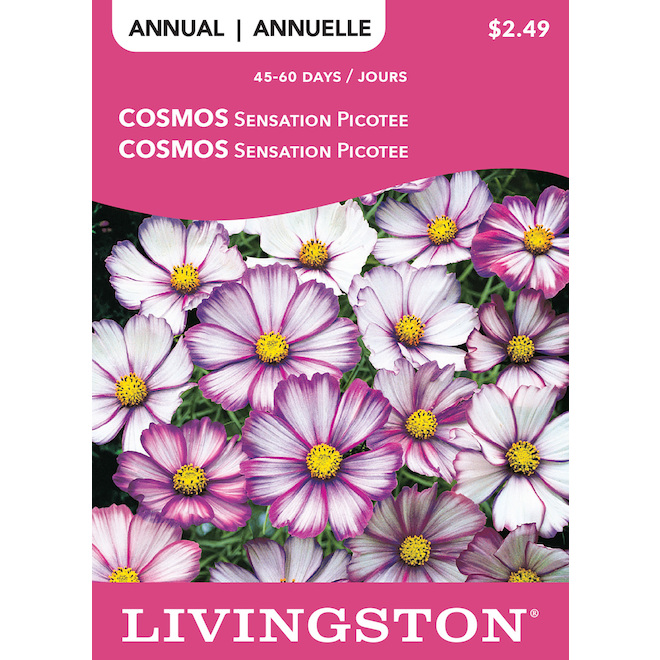 McKenzie Non-GMO Flower Seeds Packet