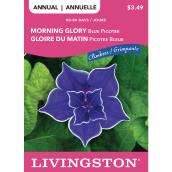 McKenzie Blue Picotee Morning Glory Annual Flower Seeds Pack - 50-80 days