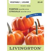 McKenzie Jack-Be-Little Pumpkin Vegetable Seeds Pack - 95 days