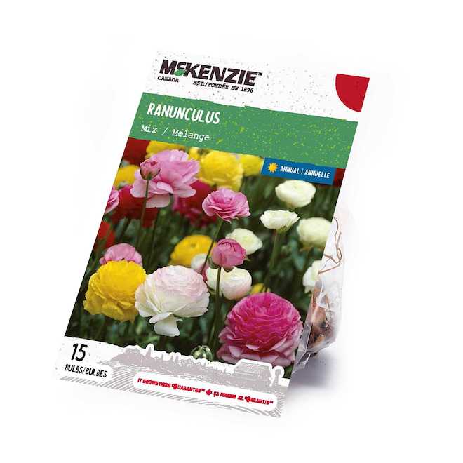 McKenzie Ranunculus Bulbs Mix - Pack of 15 Bulbs