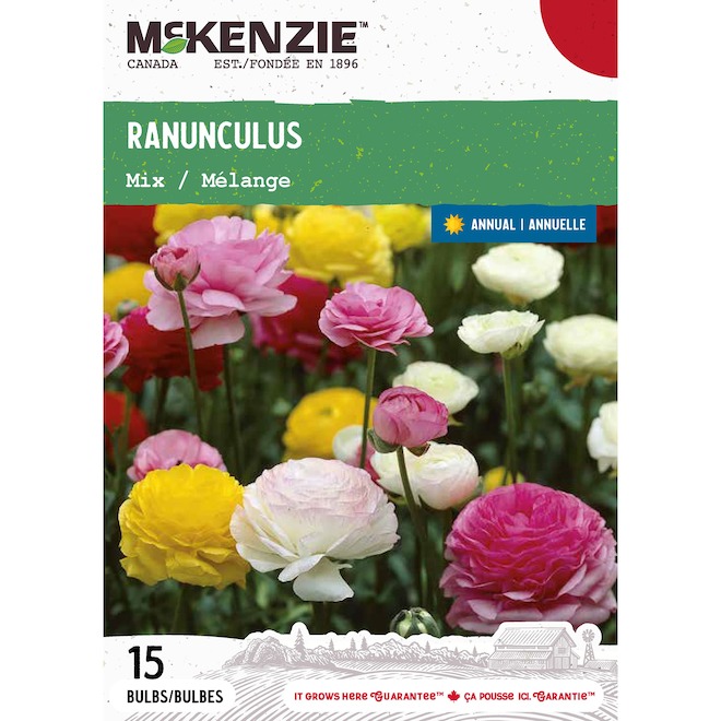 McKenzie Ranunculus Bulbs Mix - Pack of 15 Bulbs