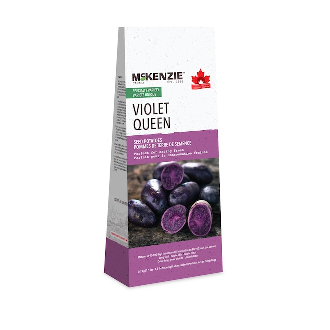 McKenzie Potato Seeds Violet Queen Specialty Variety