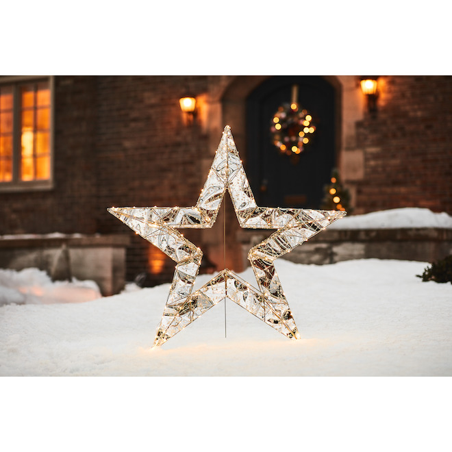 Holiday Living 1-Pack 40-in Freestanding Star Decoration with White LED  Lights XL3210807 | RONA