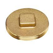Oatey 3-in diameter Female Threaded Brass Cleanout Plug