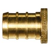 3/4-in PEX plug