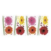 York Peel and Stick Wall Decals - Small Gerber Daisies - Removable - Assorted Types