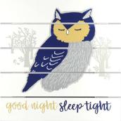 LINDEN AVE Good Night Owl Wall Decor 12-in x 12-in