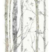 RoomMates Wallpaper 28.18-sq ft Birch Trees Brown Peel and Stick