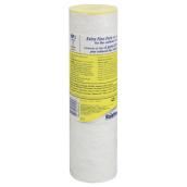 Rainfresh 9-3/4-in Whole House Replacement Filter