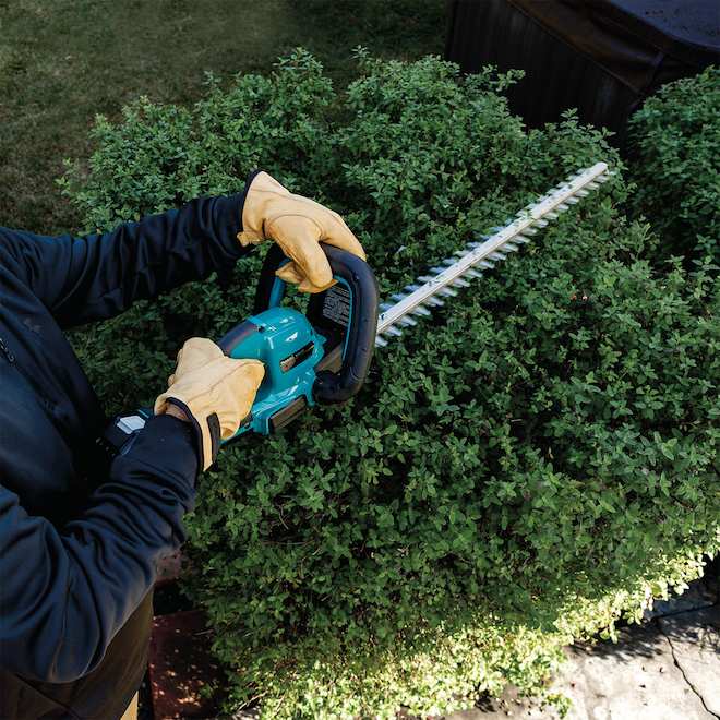 Makita 18 V 24-in Cordless Hedge Trimmer with Li-Ion Battery and Quick Charger - Teal/Black