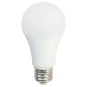 Ampoule DEL A19 5,5 W, intensité variable, blanc chaud