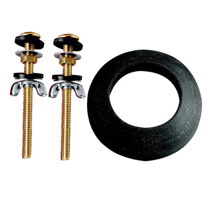 Master Plumber Closet Toilet Bolts - Brass - 5/16-in D x 3-in L - Mounting  Hardware - Copper Zinc