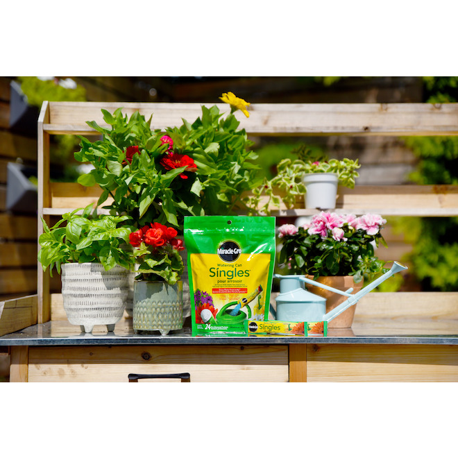 Miracle-Gro Singles Watering Can Plant Food - All-Purpose Fertilizer - 24-8-16