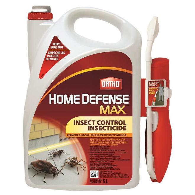 Insecticide Raid Exterminateur d'araignées, tue les insectes au contact,  pour utilisation à l'intérieur et à l'extérieur, 350 g