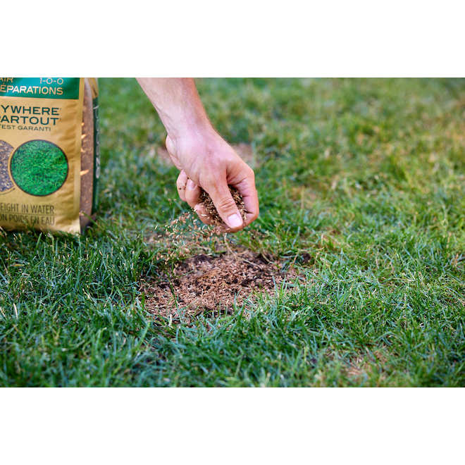 Scotts EZ Seed 3-in-1 Mulch, Seed and Fertilizer Patch and Repair Grass Seed 1-0-0 - 4.5-kg