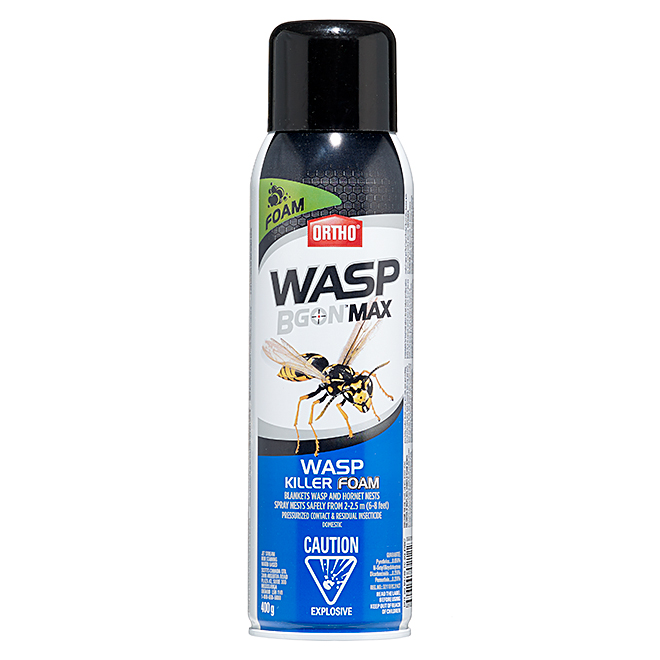 Ortho Wasp B Gon Tm Max Wasp Killer Foam 400 G Rona