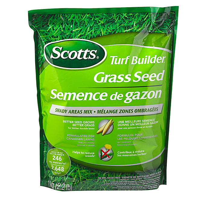 Grass Seed - 1 kg