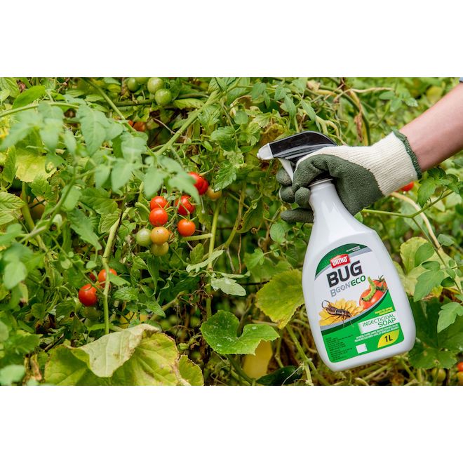 Ortho Bug BGon Eco 1-L Ready-to-Use Insecticide Soap for Plants