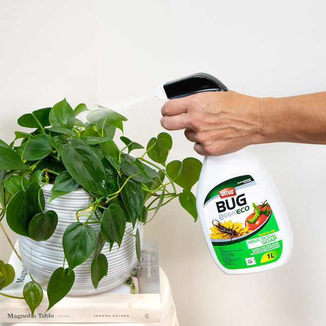 Ortho Bug BGon Eco 1-L Ready-to-Use Insecticide Soap for Plants