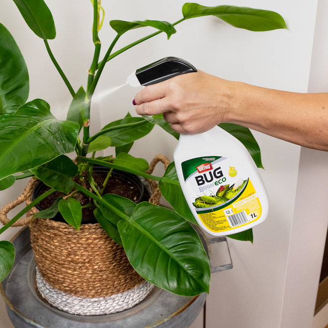 Vaporisateur insecticide prêt à l'emploi Bug BGon Eco par Ortho pour plantes, 1 L