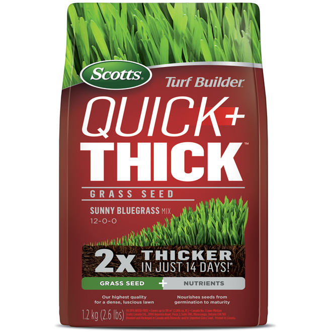 Scotts Turf Builder Quick + Thick Grass Seeds - Sunny Bluegrass Mix - 12-0-0 - 1.2 kg