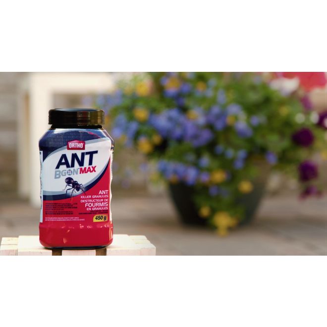 Insecticide à fourmis Ortho Ant B GoN MAX en granules, 500 g